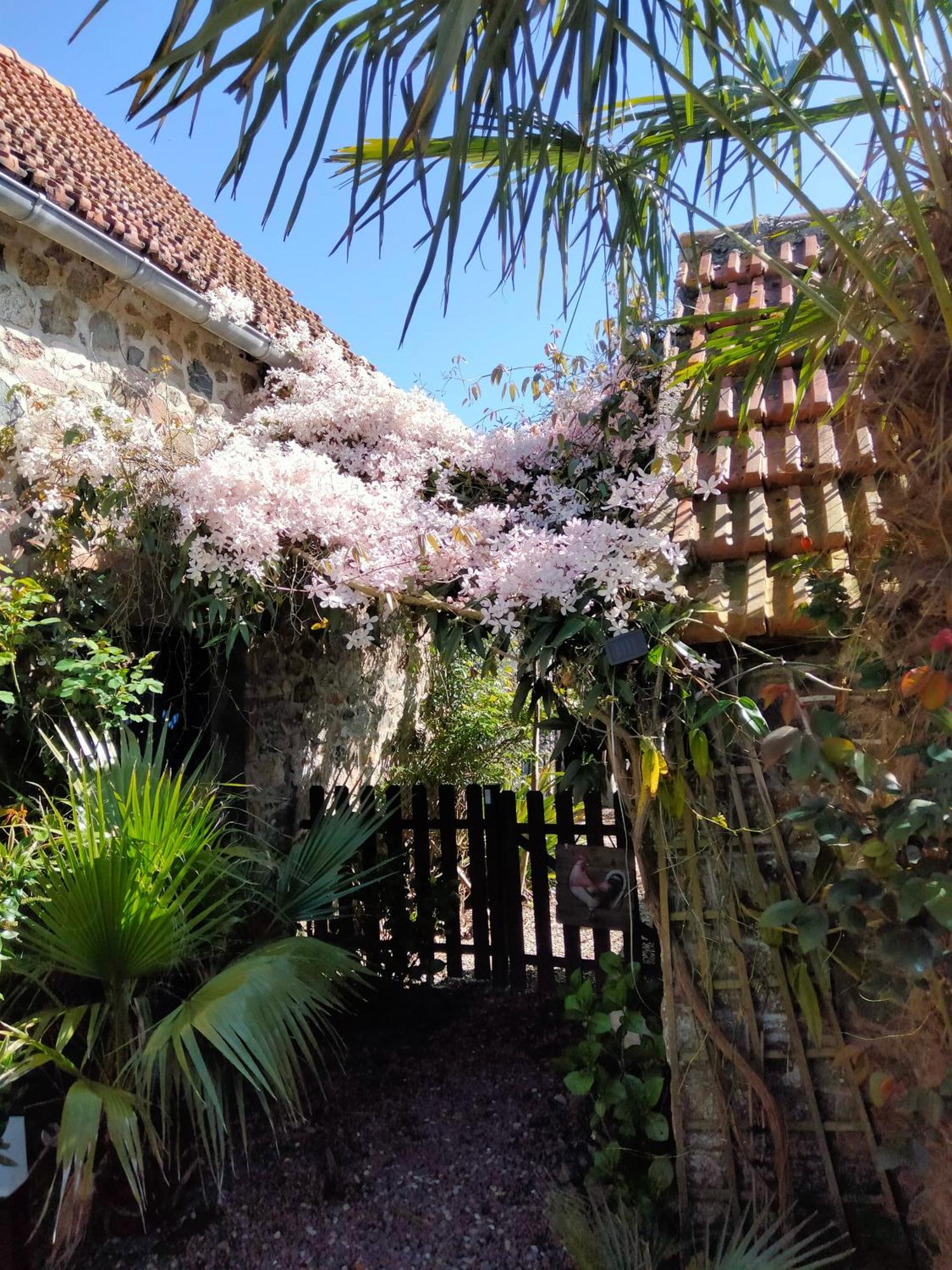 Les Deux Moulins Apartamento Saint-Alban  Exterior foto
